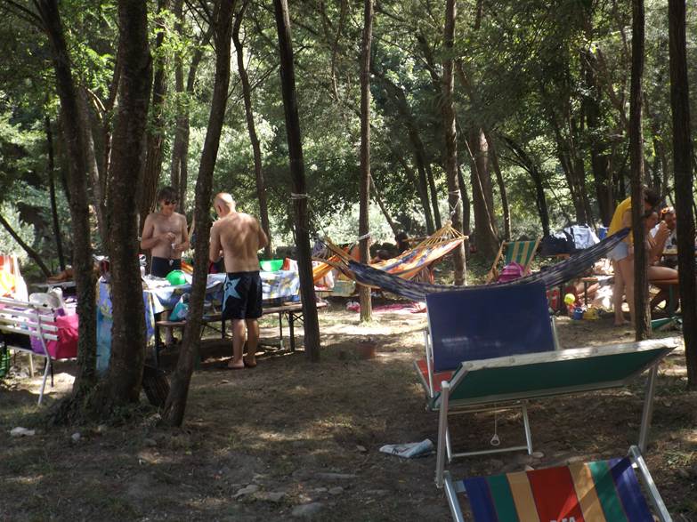  Image name: Image46.jpg 
 width: 783 pixel 
 height: 587 pixel 
 Size: 130835 bytes 
 Click to enlarge 